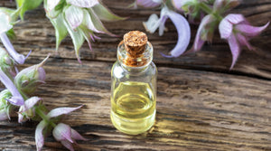 Clary Sage
