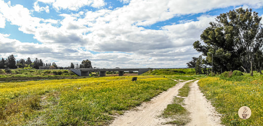 Hopefield, South Africa: A Town Rich History & Natural Beauty