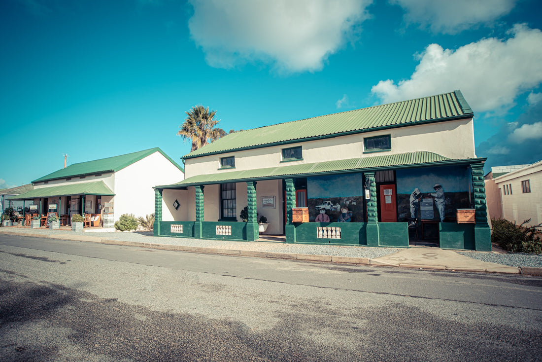 ISSUU magazine feature: December 2021