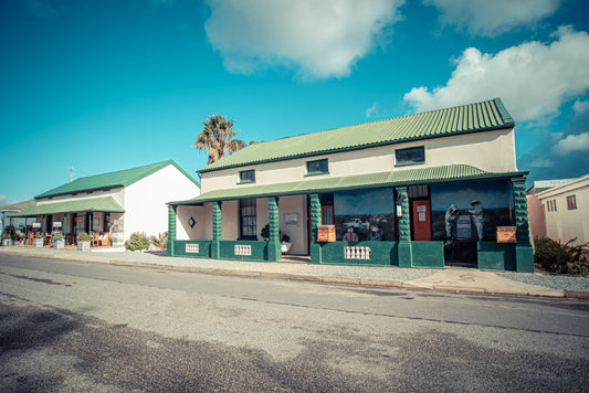 ISSUU magazine feature: December 2021