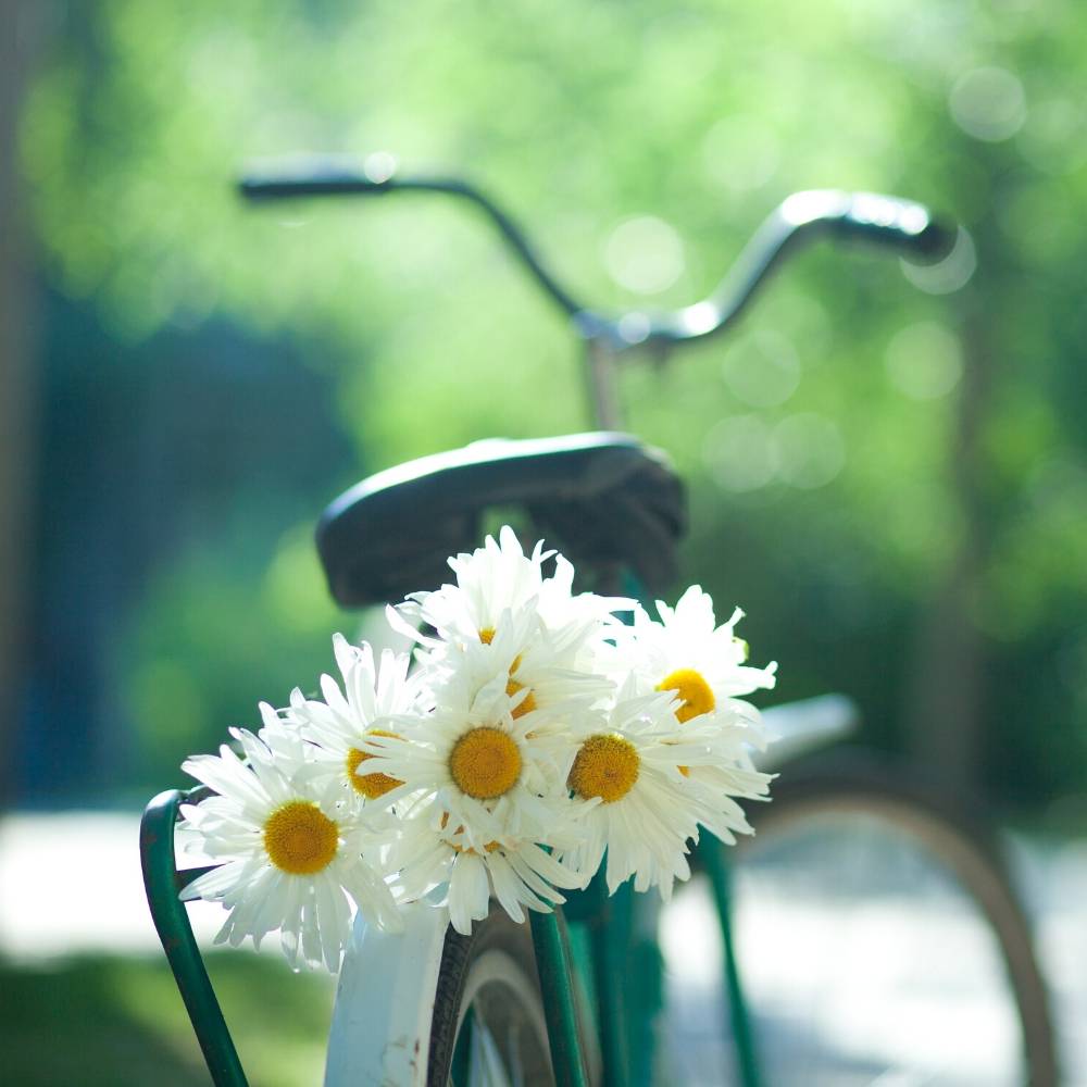 Sitting on thorns - Butt Balm review by Lehane Oosthuizen