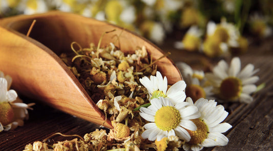 Chamomile