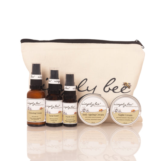 Normal / dry facial starter pack