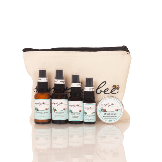 Teen facial starter pack